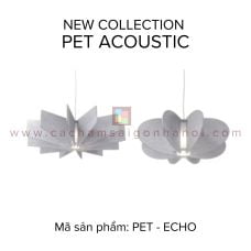 PET - ECHO 
